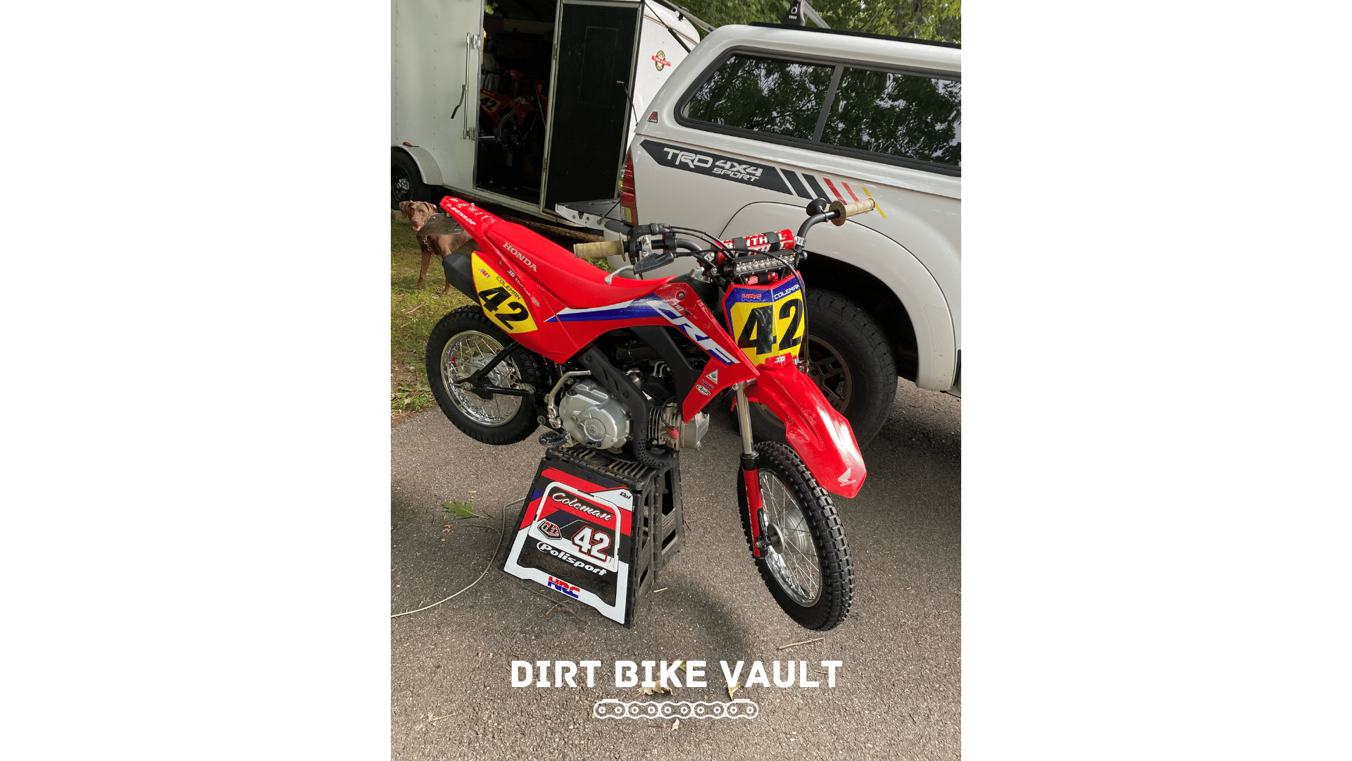 CRF 110: The Best Pit Bike? - Dirt Bike Vault